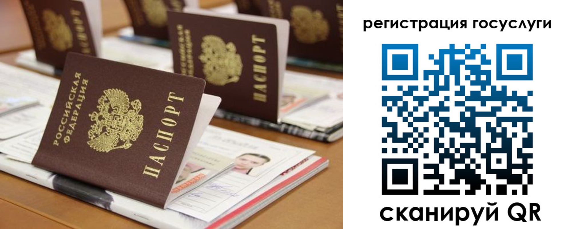 прописка в Данилове